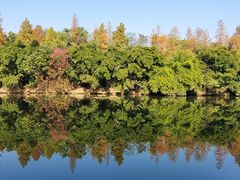 -艾溪湖湿地公园