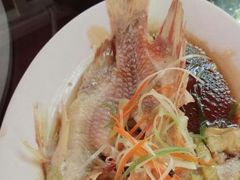 -正亮农家院·海鲜本地菜