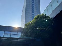 -上海浦东康桥绿地假日酒店