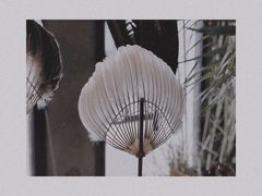 -無用生活空间(北京店)