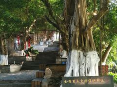 -胡里山炮台