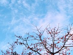 -吴记富苑(朝阳店)