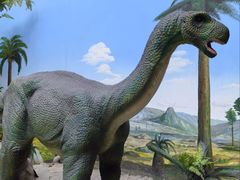 -国家自然博物馆