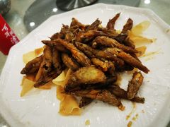 -姚林轩