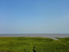 -南汇嘴观海公园