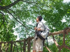-少华山国家森林公园