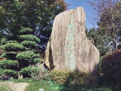 -昆山城市生态森林公园