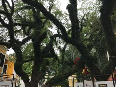 -ALBERGUE 1601 婆仔屋葡国餐厅