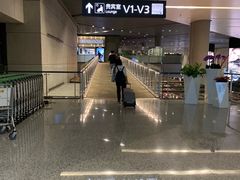 -虹桥机场国航贵宾室v8