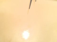 -吴越荣记苏州菜·松鼠桂鱼(月光码头店)