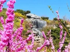 -北京西山国家森林公园