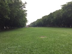 -中山大学学者灵芝(园南路店)