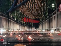 -石燕湖生态旅游景区