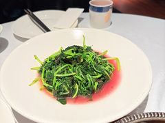 -凤凰湘语(浦东旗舰店)