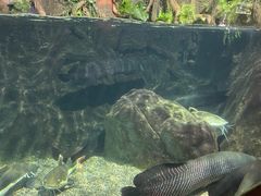 -太平洋海底世界