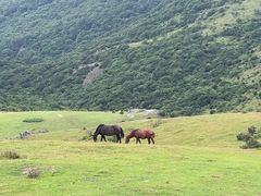-大姆山草场