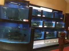 水产区-岭南海晏楼(东晓南店)