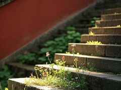 -开福禅寺