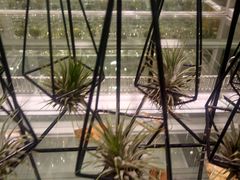 -KKV(深圳宏发大仟里店)