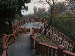 -上海市保健医疗中心(华东疗养院)