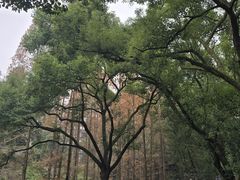 -忠山公园
