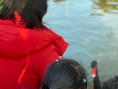 -得丘礼享谷·玉兰苑