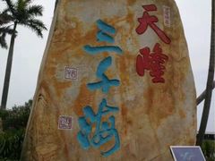 -红树林天天赶海