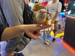 -宠物世家(仲盛世界商城店)