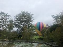 -中国科学院西双版纳热带植物园