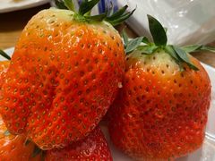 -禾斗海鲜自助(城阳宝龙店)