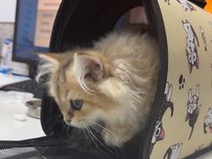 -良伴无忧宠物医院(泰欣嘉园店)