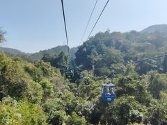 -野象谷景区
