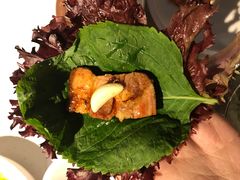 -本家韩国烤肉(青岛万象城店)