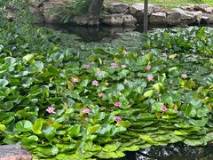-承德避暑山庄景区