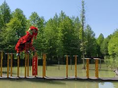 -泗洪洪泽湖湿地景区