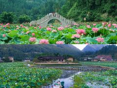 -重庆武隆天生三桥风景区-神鹰天坑
