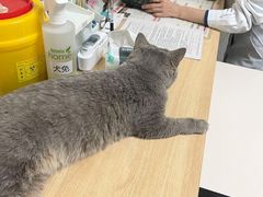 -谐和贝康宠物医院24小时·宠保定点(急重症转诊中心)