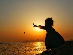 -合肥滨湖国家森林公园