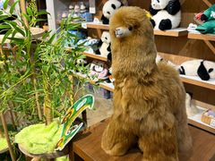 -方所(华润万象城店)