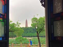 -顺峰山公园