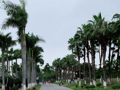-厦门园林博览苑