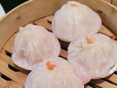 -岭南小生·粤港点心(南门口店)