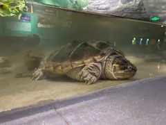 -常州海昌海洋探索馆