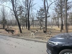 -秦皇岛野生动物园