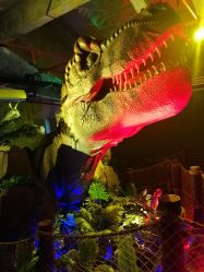 -恐龙探索乐园(磁器口店)