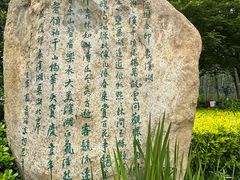 -合肥滨湖国家森林公园