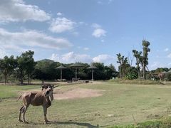 -宁波野生动物园