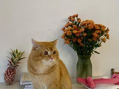 -松松咖啡