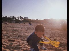 -瑶湖郊野森林公园