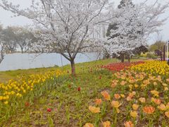 -苏州上方山国家森林公园